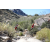 Team 50 / Raid Amazones Californie