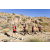 Team 19 / Raid Amazones Californie
