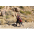 Team 25 / Raid Amazones Californie