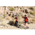 Team 26 / Raid Amazones Californie