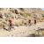 Team 34 / Raid Amazones Californie