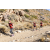 Team 34 / Raid Amazones Californie