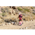 Team 48 / Raid Amazones Californie