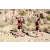 Team 42 / Raid Amazones Californie