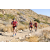 Team 51 / Raid Amazones Californie