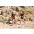 Team 61 / Raid Amazones Californie