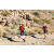 Team 62 / Raid Amazones Californie