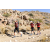 Team 72 / Raid Amazones Californie