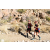 Team 74 / Raid Amazones Californie