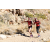 Team 79 / Raid Amazones Californie