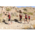 Raid Amazones Californie