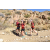 Team 90 / Raid Amazones Californie