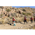 Team 94 / Raid Amazones Californie
