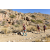 Team 94 / Raid Amazones Californie