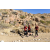 Team 81 / Raid Amazones Californie