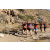 Team 91 / Raid Amazones Californie
