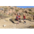 Team 91 / Raid Amazones Californie