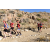 Team 91 / Raid Amazones Californie