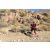 Team 92 / Raid Amazones Californie