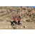 Team 96 / Raid Amazones Californie
