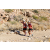 Team 98 / Raid Amazones Californie