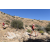 Team 03 / Raid Amazones Californie