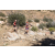 Team 54 / Raid Amazones Californie
