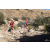 Team 54 / Raid Amazones Californie