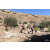 Team 95 / Raid Amazones Californie