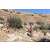 Team 15 / Raid Amazones Californie