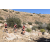 Team 11 / Raid Amazones Californie