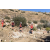 Raid Amazones Californie