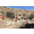 Team 21 / Raid Amazones Californie