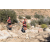 Team 74 / Raid Amazones Californie