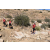 Team 72 / Raid Amazones Californie