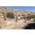 Team 29 / Raid Amazones Californie