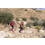 Team 49 / Raid Amazones Californie