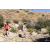 Team 97 / Raid Amazones Californie
