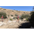 Team 97 / Raid Amazones Californie