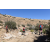 Team 77 / Raid Amazones Californie
