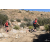 Team 79 / Raid Amazones Californie
