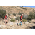 Team 99 / Raid Amazones Californie