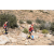Team 75 / Raid Amazones Californie
