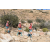 Team 94 / Raid Amazones Californie
