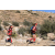 Raid Amazones Californie