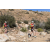 Team 76 / Raid Amazones Californie