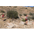 Team 92 / Raid Amazones Californie