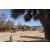 Raid Amazones Californie