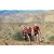 Team 11 / Raid Amazones Californie