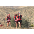 Team 16 / Raid Amazones Californie